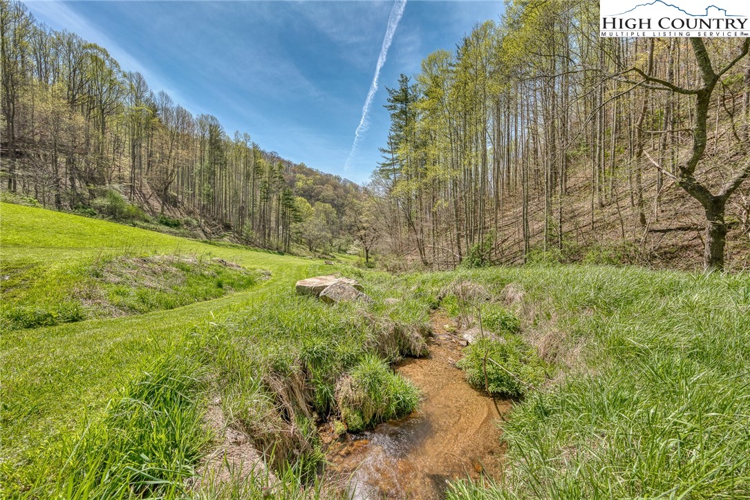 809 Fork Branch Road Vilas, NC 28692 - Photo 25 of 50 Gallery Image 25