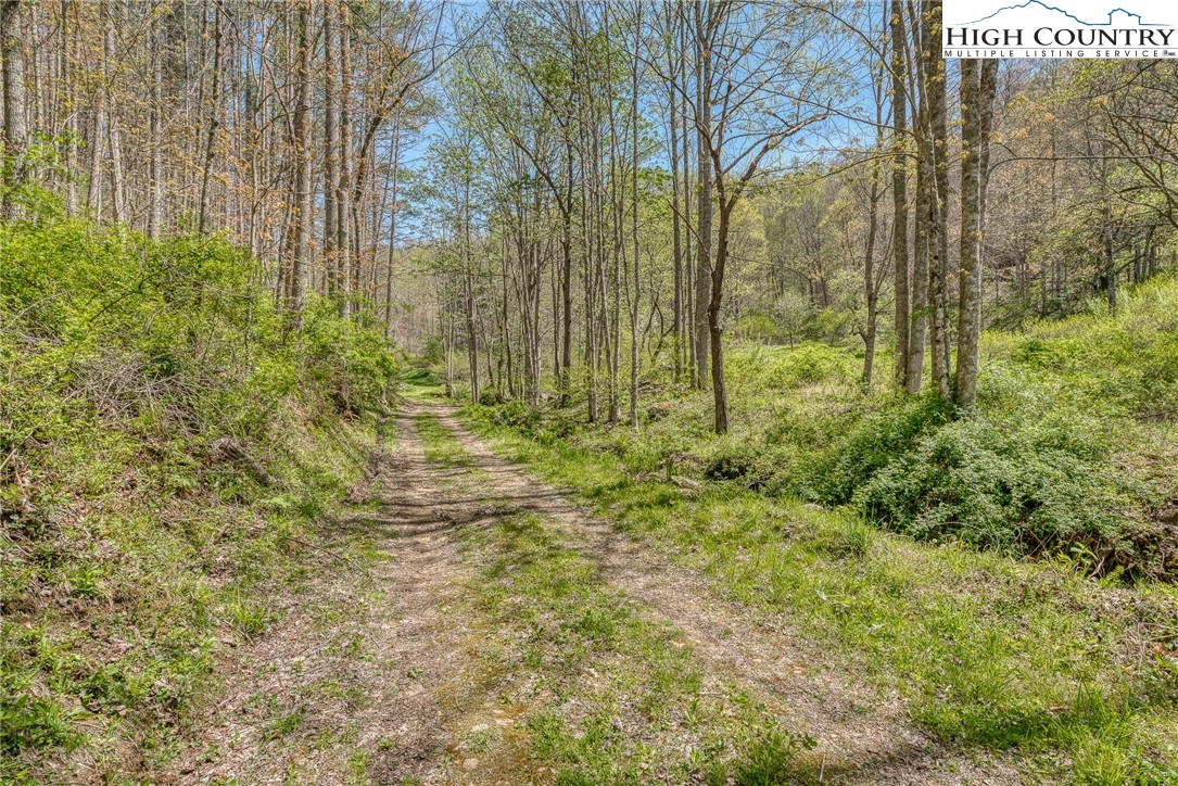 809 Fork Branch Road Vilas, NC 28692 - Photo 27 of 50 Gallery Image 27