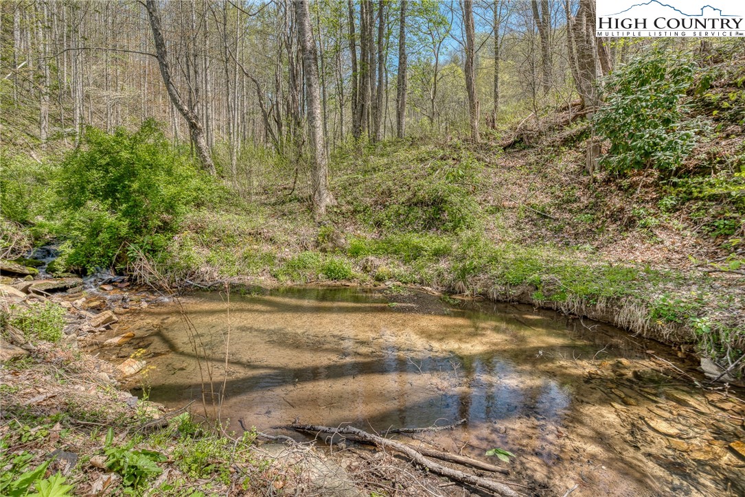 809 Fork Branch Road Vilas, NC 28692 - Photo 28 of 50 Gallery Image 28