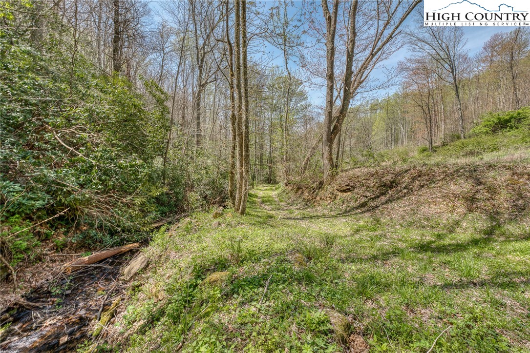 809 Fork Branch Road Vilas, NC 28692 - Photo 29 of 50 Gallery Image 29