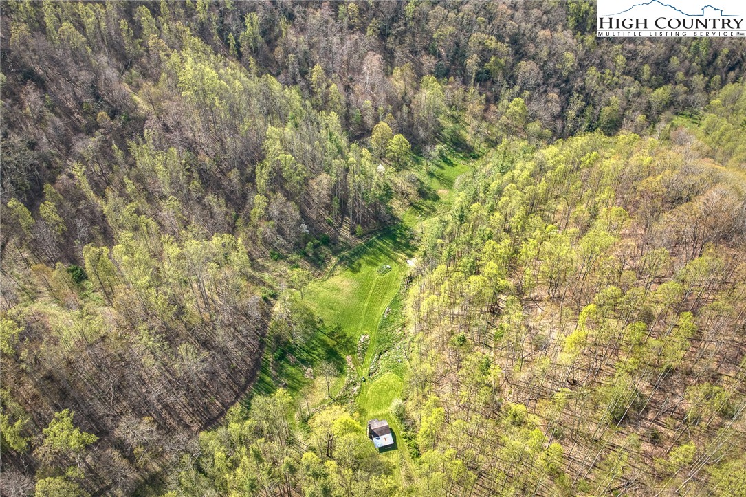 809 Fork Branch Road Vilas, NC 28692 - Photo 35 of 50 Gallery Image 35