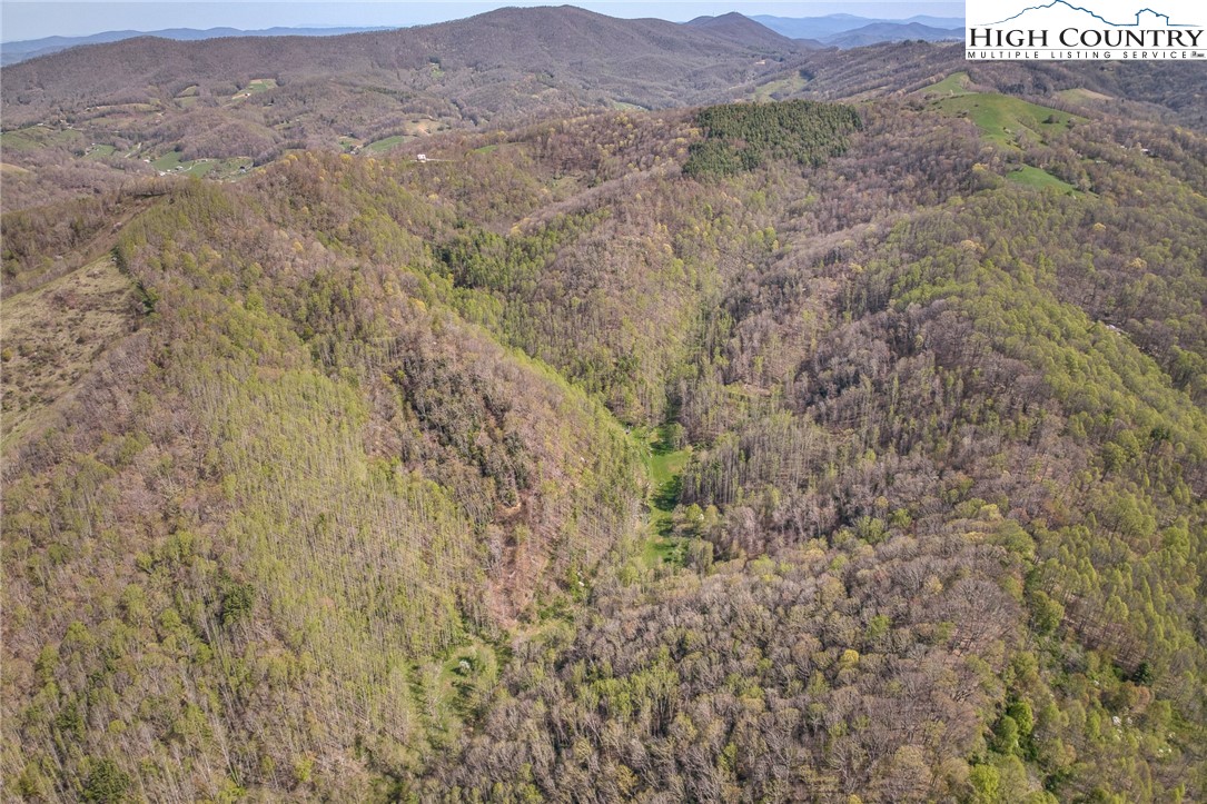 809 Fork Branch Road Vilas, NC 28692 - Photo 36 of 50 Gallery Image 36