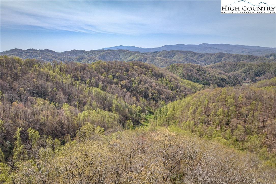 809 Fork Branch Road Vilas, NC 28692 - Photo 38 of 50 Gallery Image 38