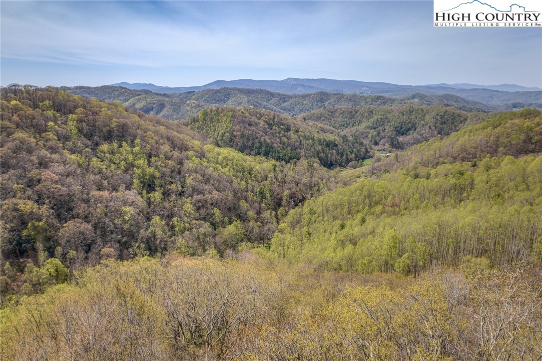 809 Fork Branch Road Vilas, NC 28692 - Photo 46 of 50 Gallery Image 46