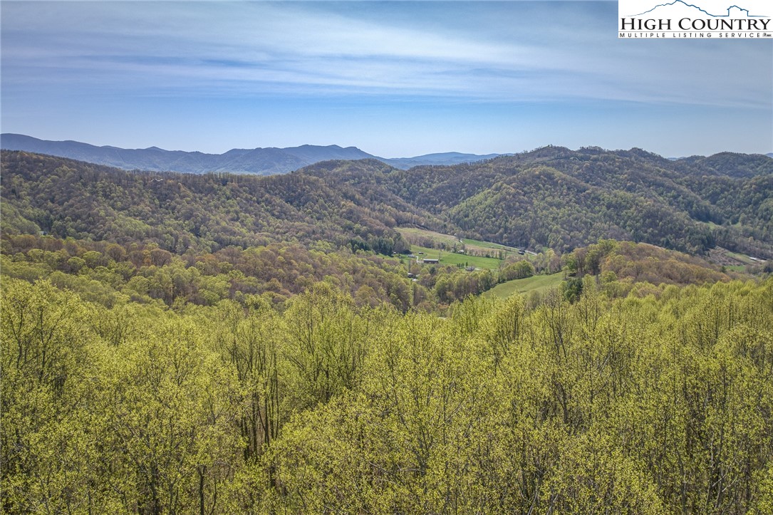 809 Fork Branch Road Vilas, NC 28692 - Photo 47 of 50 Gallery Image 47