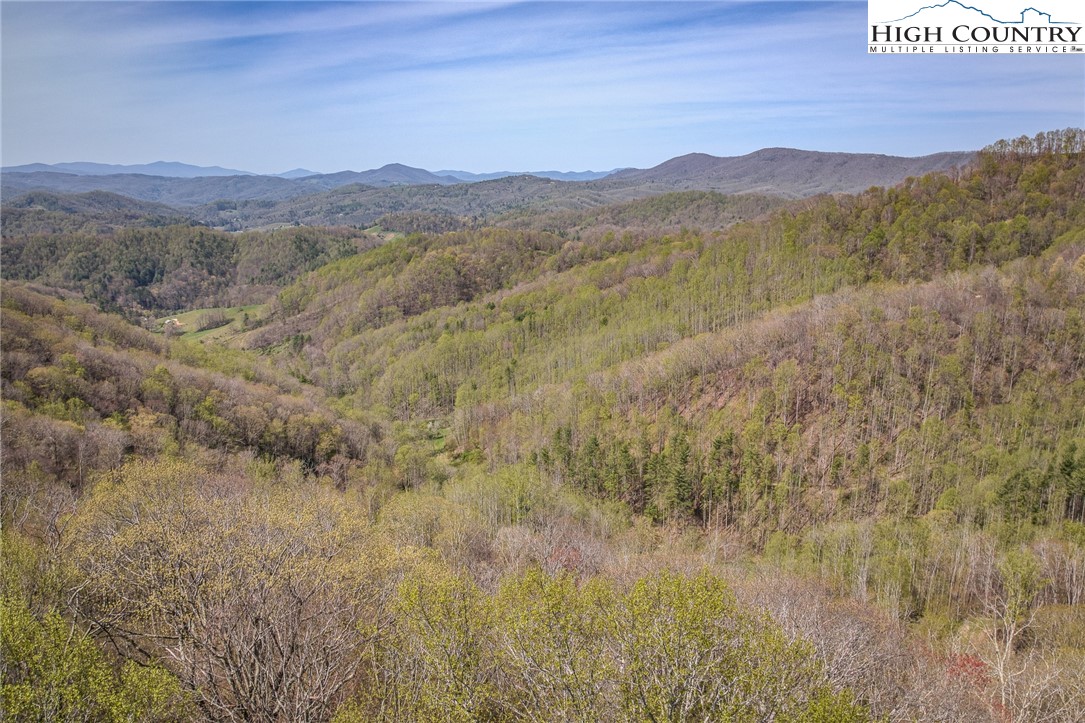 809 Fork Branch Road Vilas, NC 28692 - Photo 48 of 50 Gallery Image 48