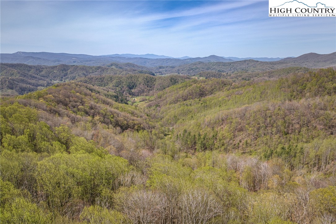 809 Fork Branch Road Vilas, NC 28692 - Photo 49 of 50 Gallery Image 49