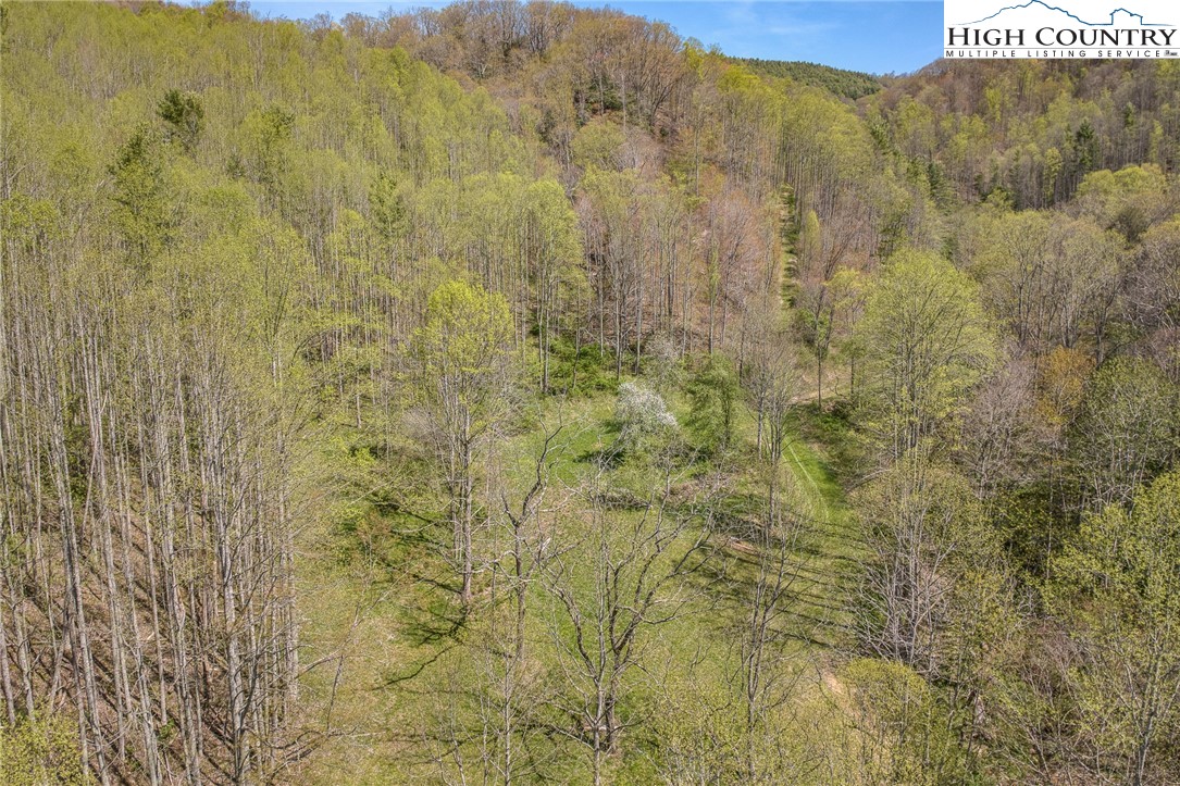 809 Fork Branch Road Vilas, NC 28692 - Photo 50 of 50 Gallery Image 50