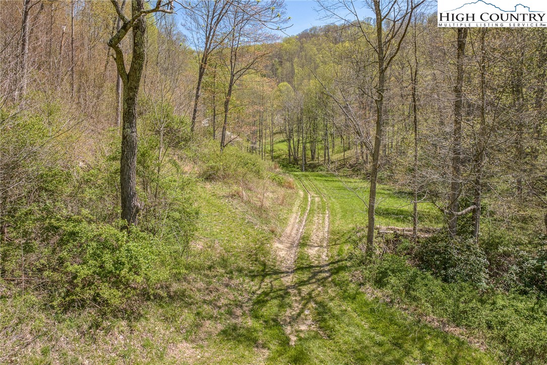 809 Fork Branch Road Vilas, NC 28692 - Photo 9 of 50 Gallery Image 9