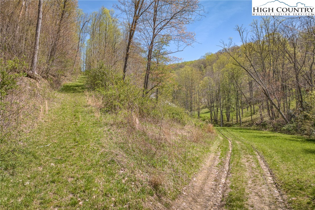 809 Fork Branch Road Vilas, NC 28692 - Photo 10 of 50 Gallery Image 10