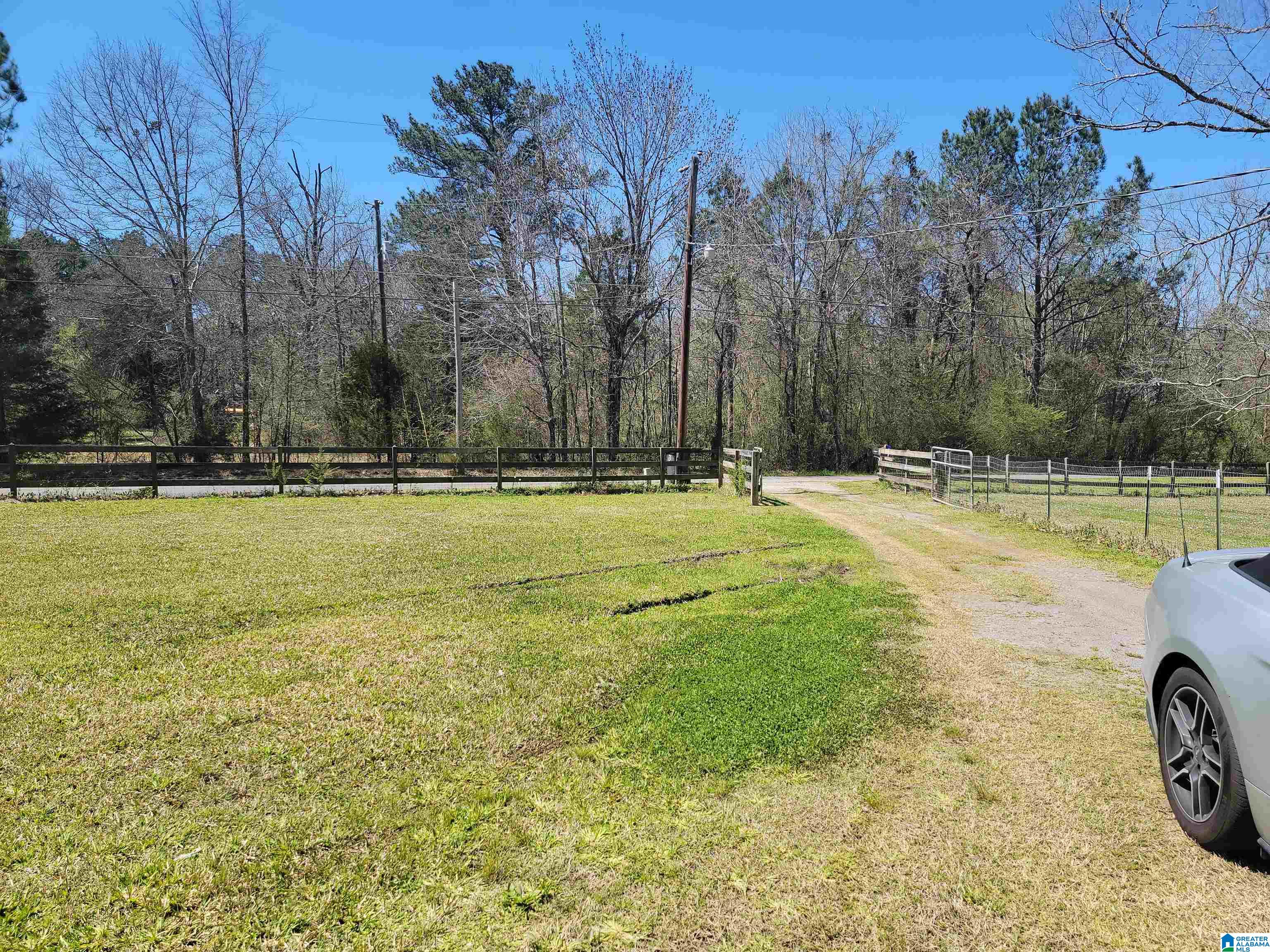 319 Jones Village Road Springville, AL 35146 - Photo 6 of 48