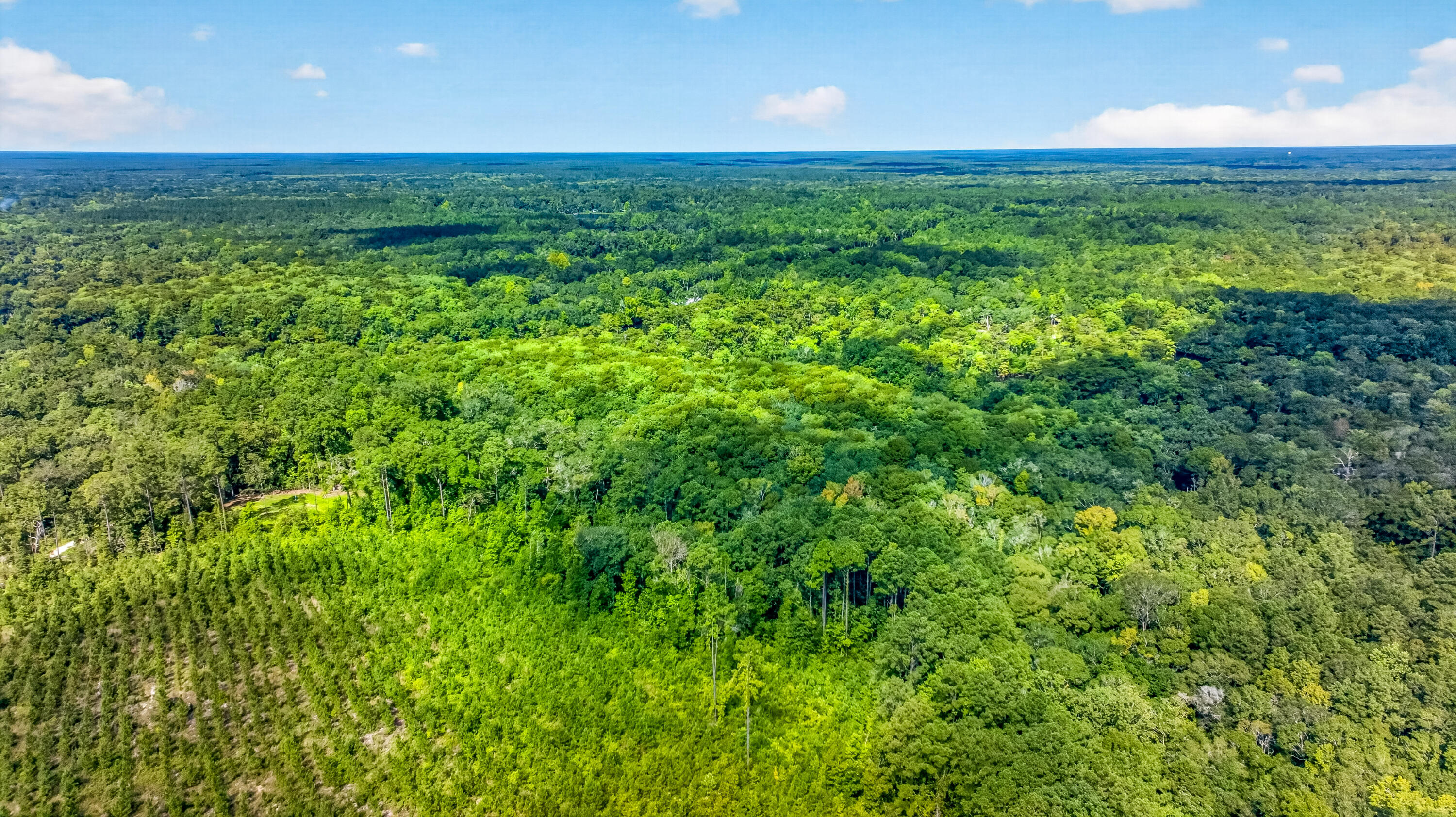 19-acres Potter Spring Road Vernon, FL 32462 - Photo 8 of 28 DJI_0143