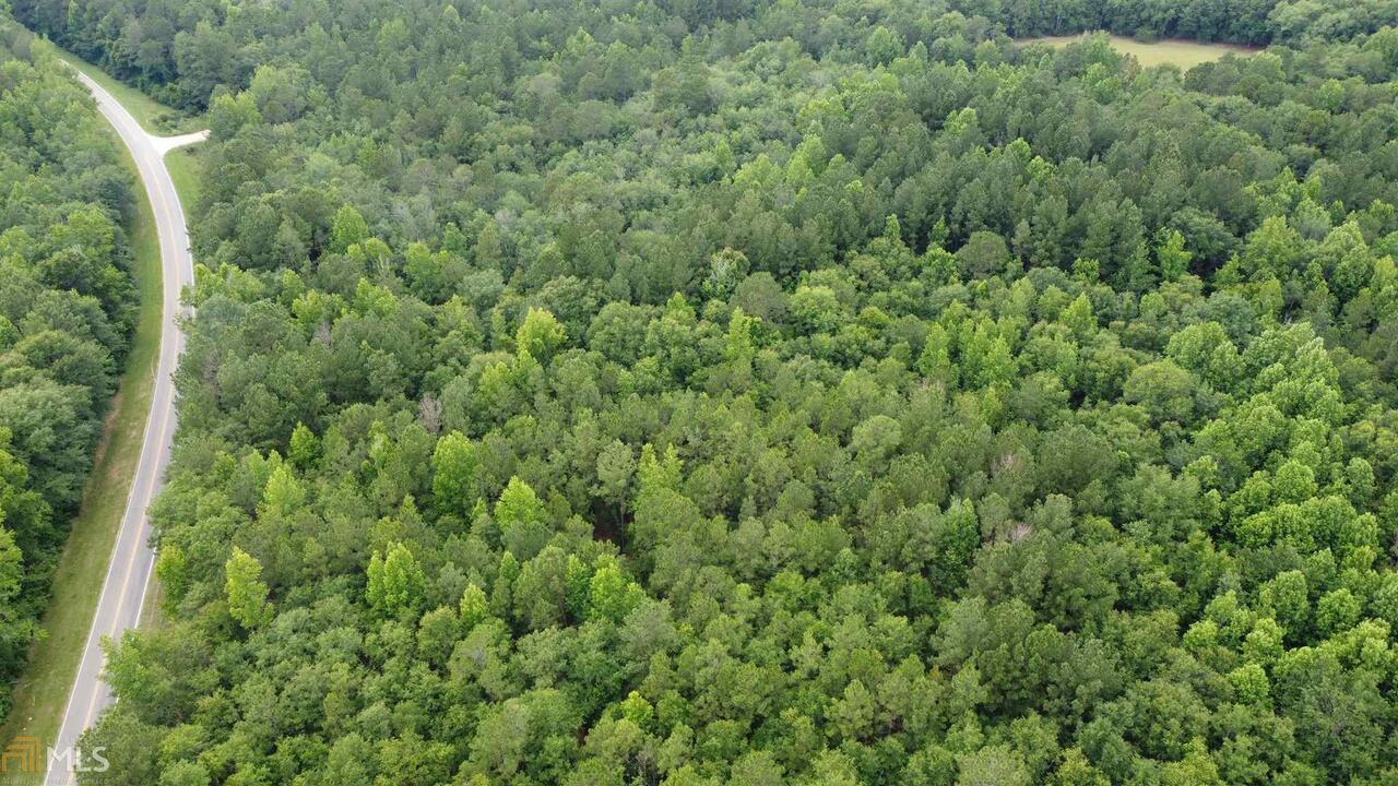 0 Rosemary Church Road, Unit 2 Metter, GA 30439 - Photo 1 of 1