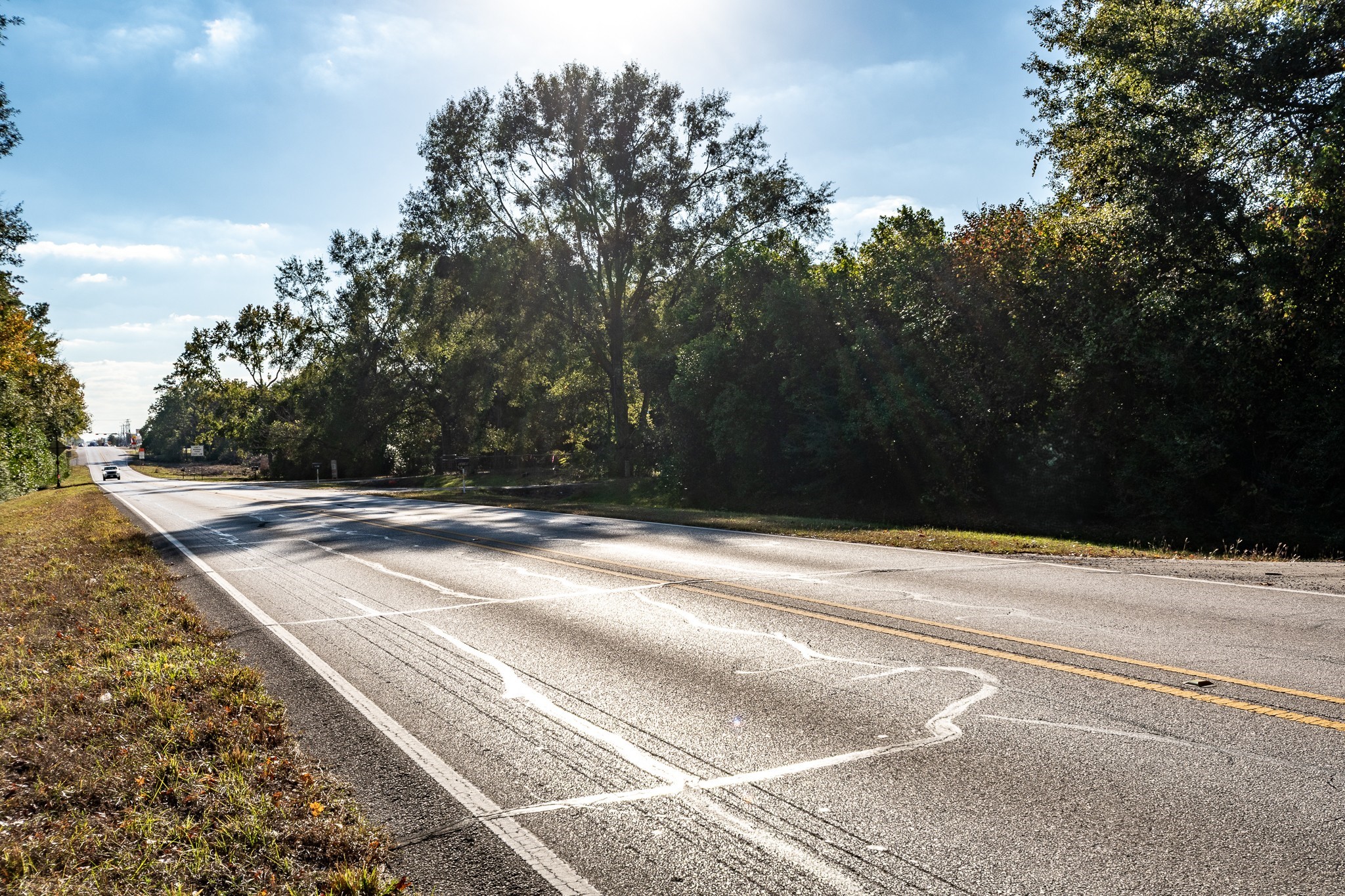 14144 Old Highway 59N Splendora, TX 77372 - Photo 11 of 24 a view of a backyard of the house