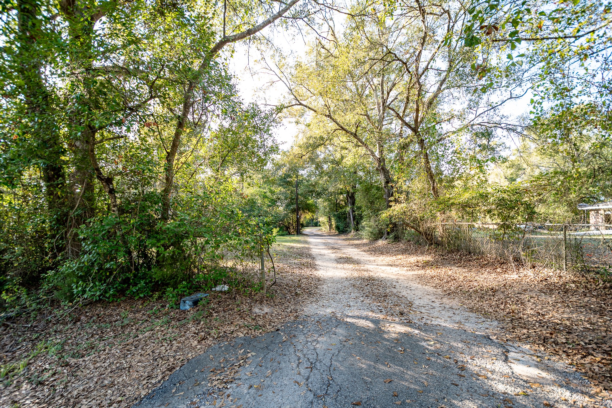 14144 Old Highway 59N Splendora, TX 77372 - Photo 12 of 24 a pathway of a yard