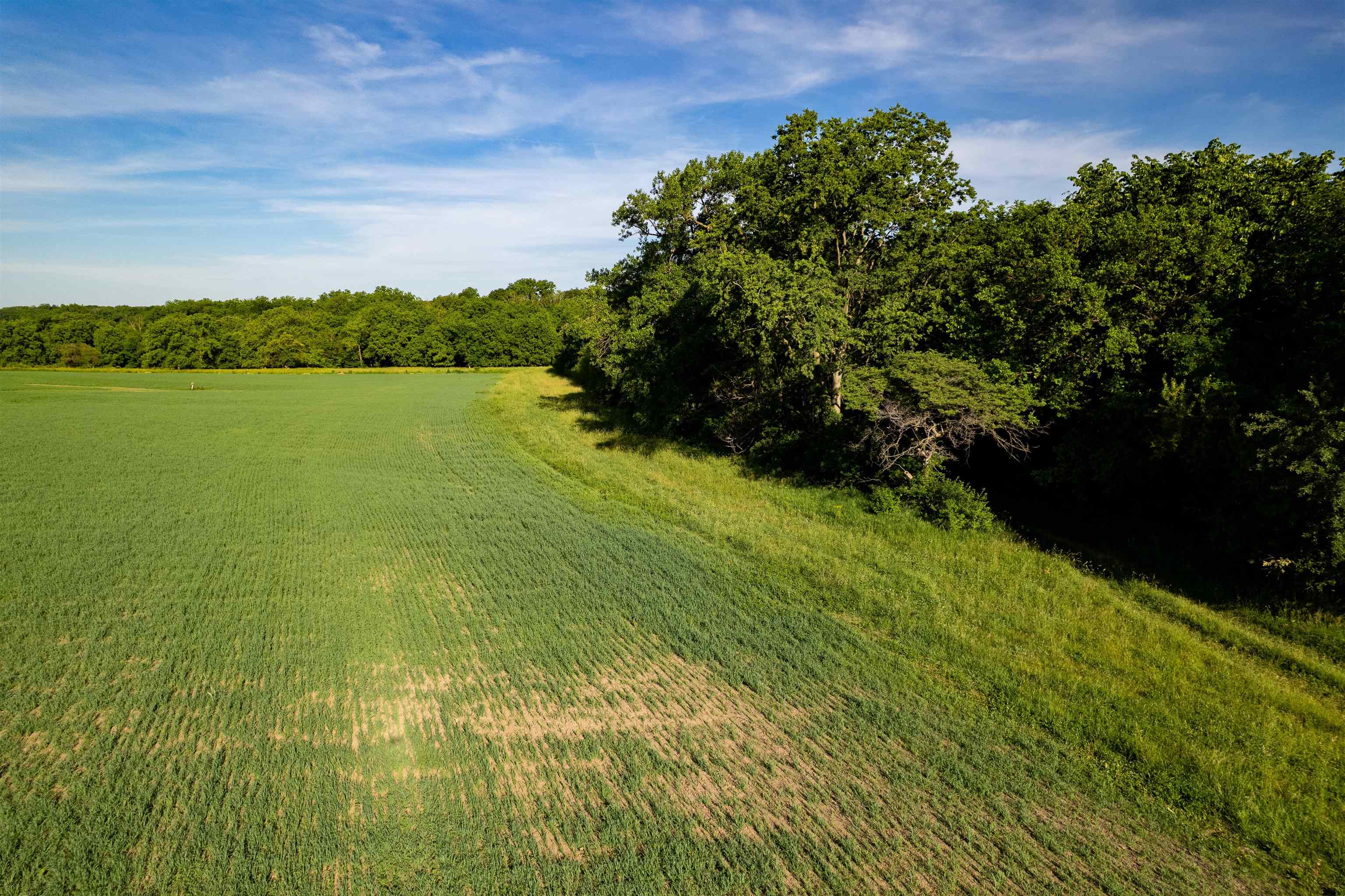 0 South Stone Hill Road Chana, IL 61015 - Photo 13 of 37