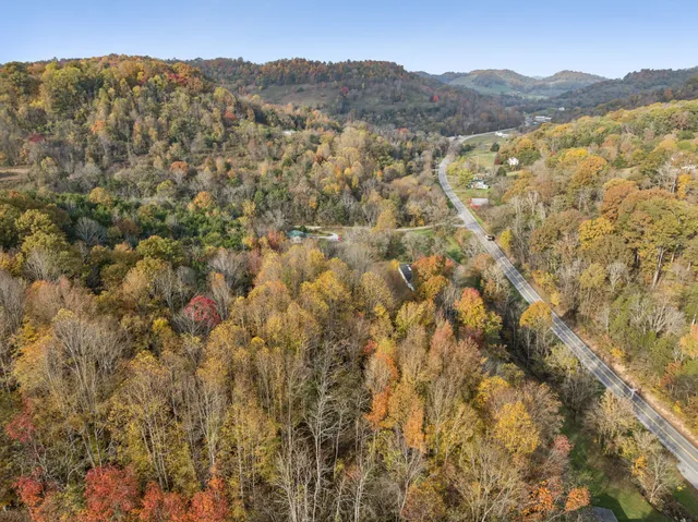 a view of a yard with trees