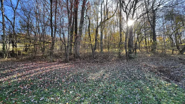a fire hydrant in the middle of a field