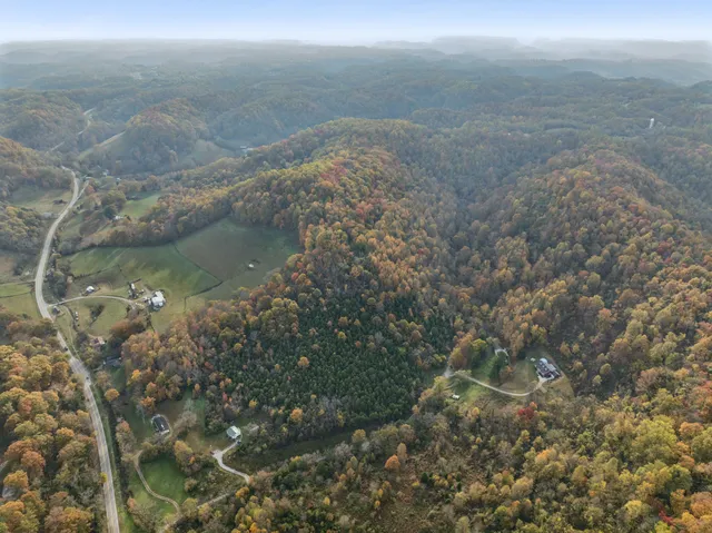 a view of outdoor space with trees all around