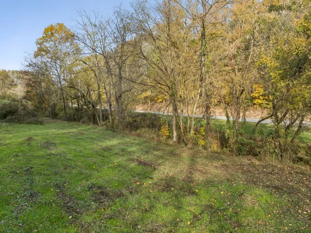 a view of outdoor space and trees