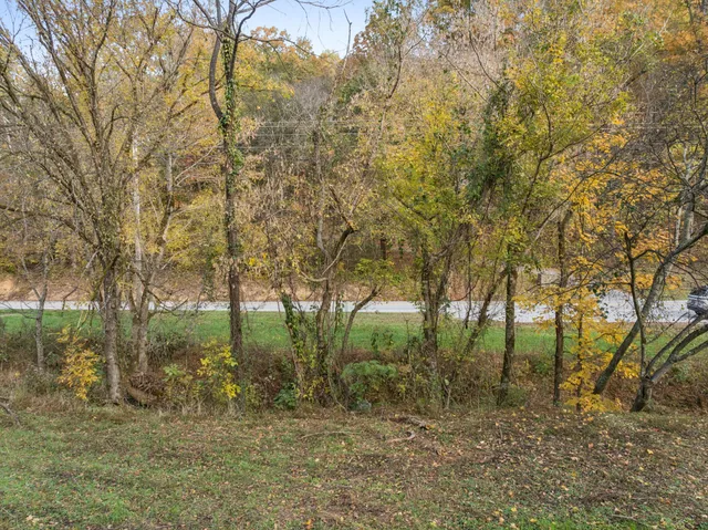 a view of covered with green space