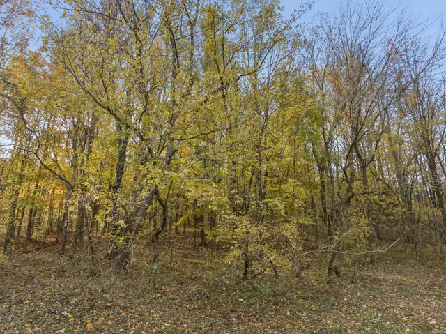 a view of a field with trees in the background