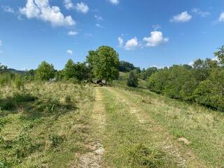 294 Hooster Run Road Wellington, KY 40387 - Photo 10 of 24 IMG_0742