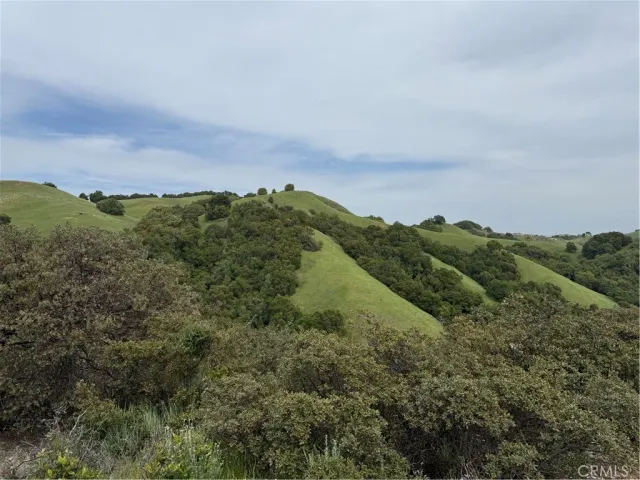 an aerial view of houses covered in trees