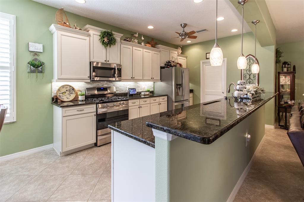 16123 Southwest 14th Avenue Road Ocala, FL 34473 - Photo 14 of 65 a kitchen with a sink stove and cabinets