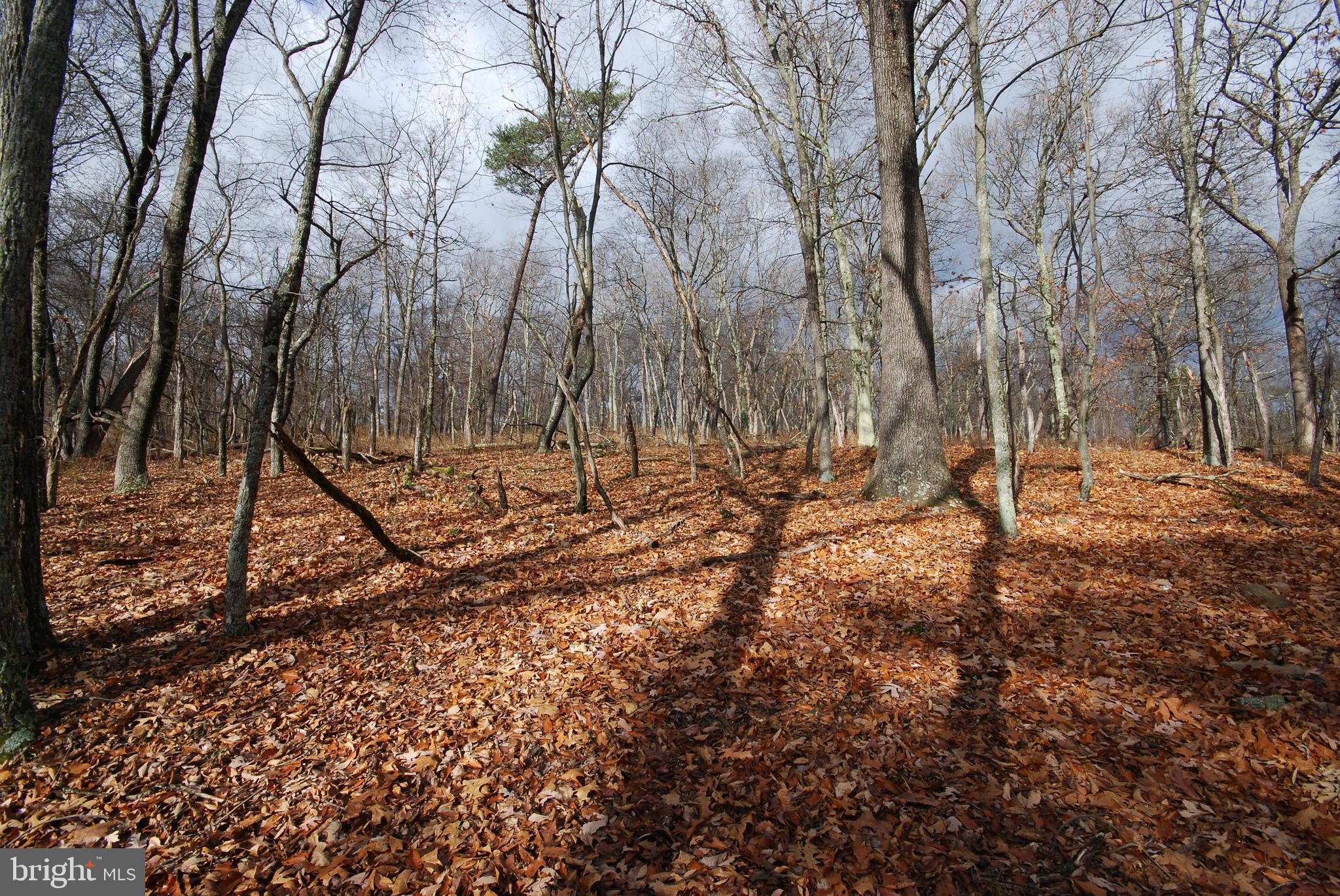 Lot 70-71 Mill Mountain Road Romney, WV 26757 - Photo 33 of 52