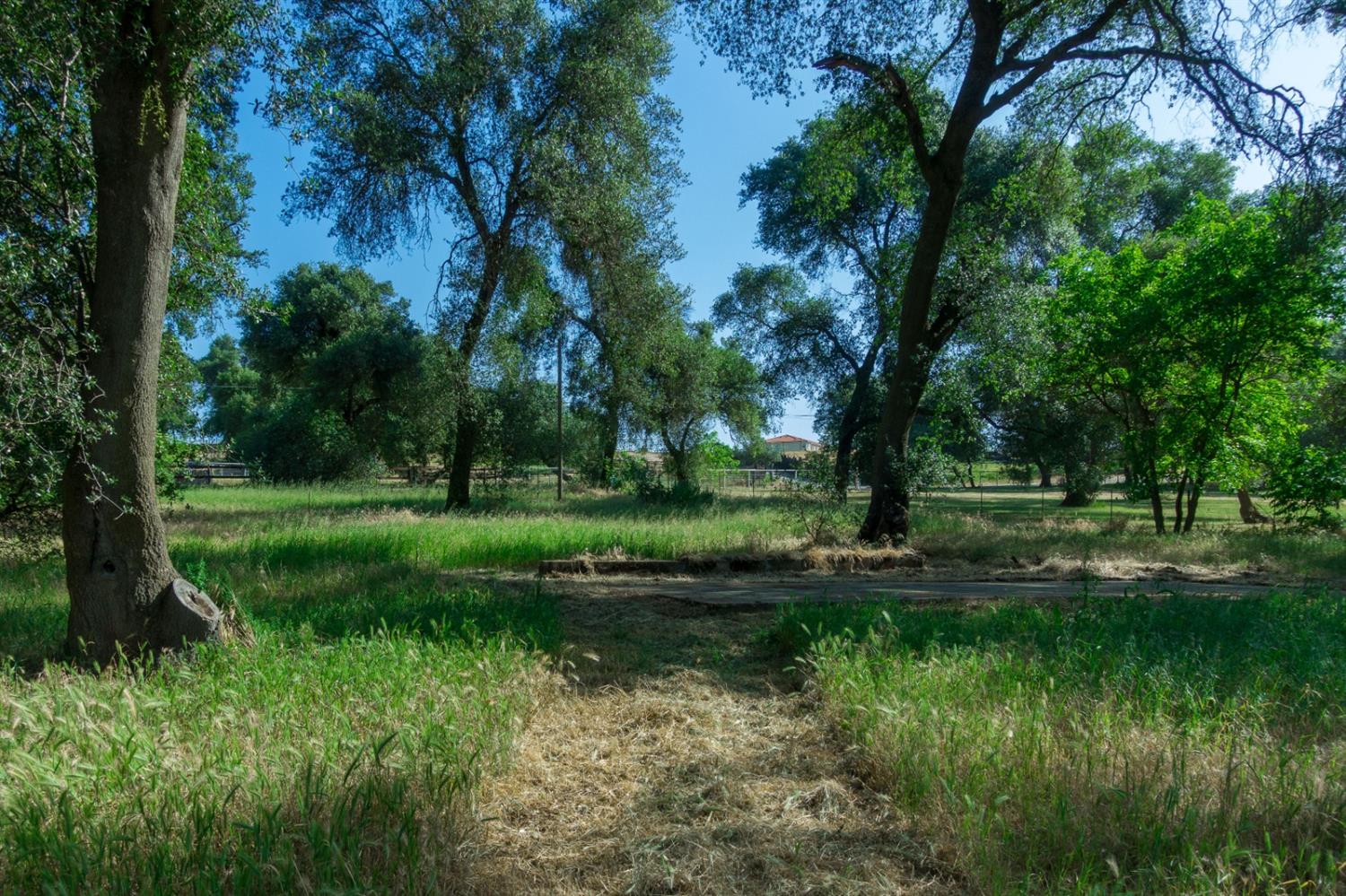 16136 Morrison Road Oakdale, CA 95361 - Photo 3 of 48 Gallery Image 3
