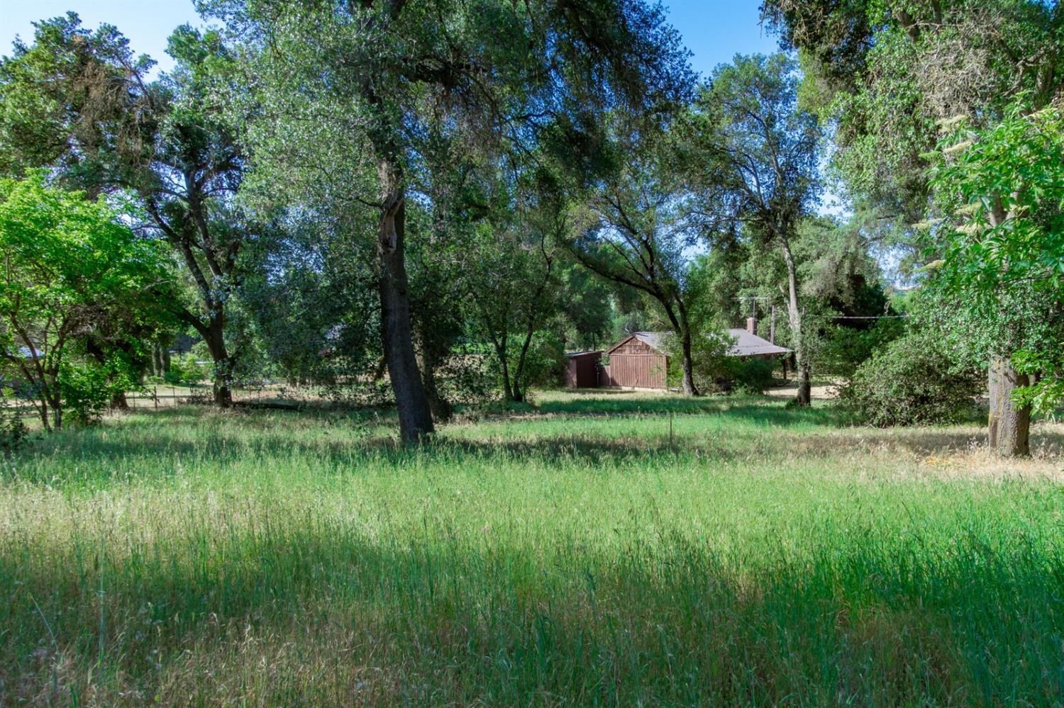16136 Morrison Road Oakdale, CA 95361 - Photo 21 of 48 Gallery Image 21