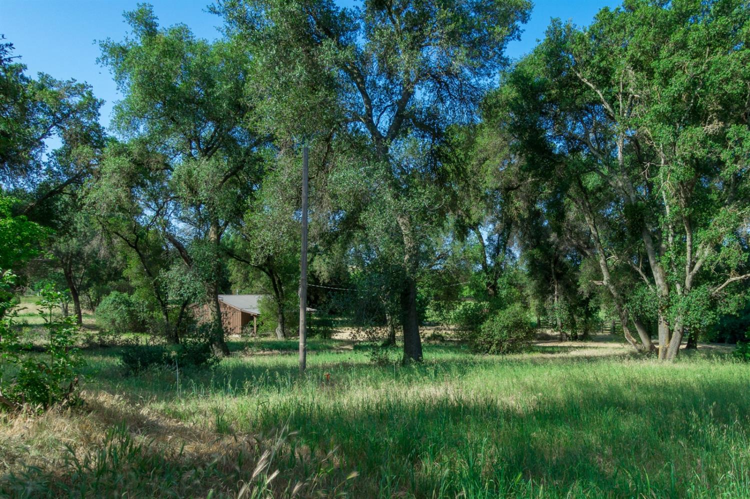 16136 Morrison Road Oakdale, CA 95361 - Photo 22 of 48 Gallery Image 22