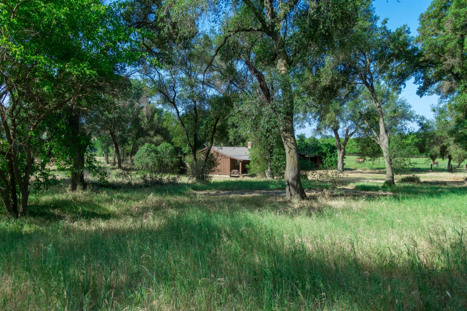 16136 Morrison Road Oakdale, CA 95361 - Photo 29 of 48 Gallery Image 29