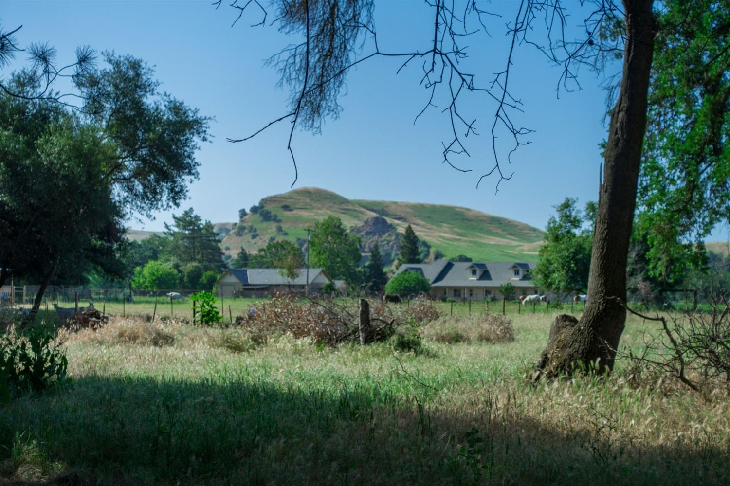 16136 Morrison Road Oakdale, CA 95361 - Photo 33 of 48 Gallery Image 33