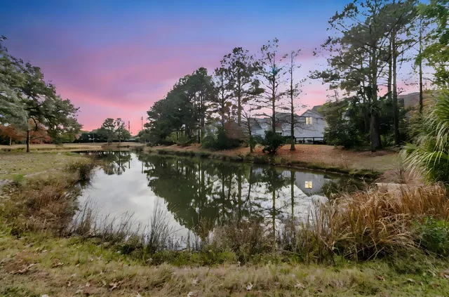 $1,359,000 | 123 Bounty Street, Charleston, SC 29492