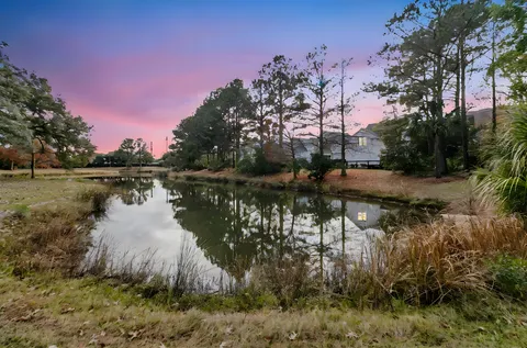 $1,359,000 | 123 Bounty Street, Charleston, SC 29492