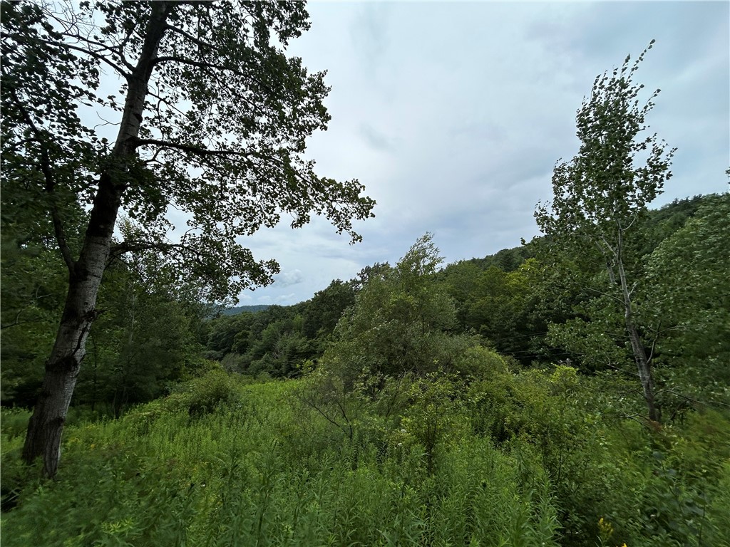 Grange Hall Road Oneonta, NY 13820 - Photo 8 of 15