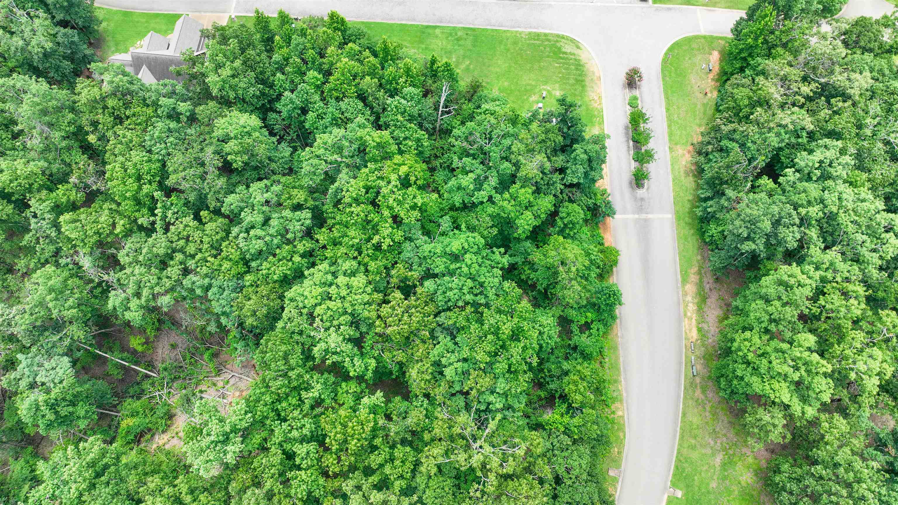58 Breathtaking Loop Savannah, TN 38372 - Photo 11 of 36