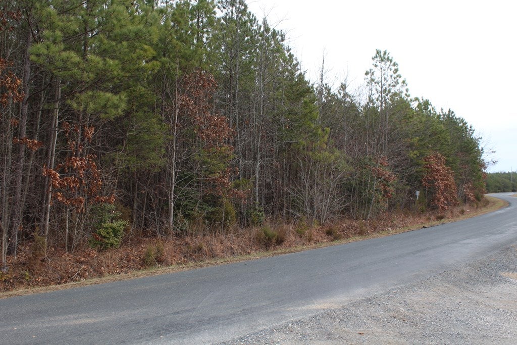 617 Stanton Town Road Dillwyn, VA 23936 - Photo 7 of 19 Gallery Image 7