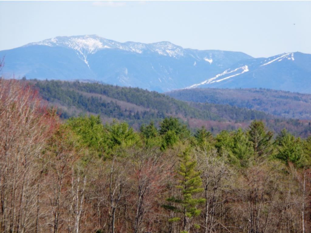 239 Skinny Ridge Road Lyman, NH 03585 - Photo 1 of 36