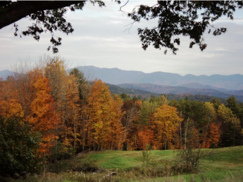 239 Skinny Ridge Road Lyman, NH 03585 - Photo 28 of 36