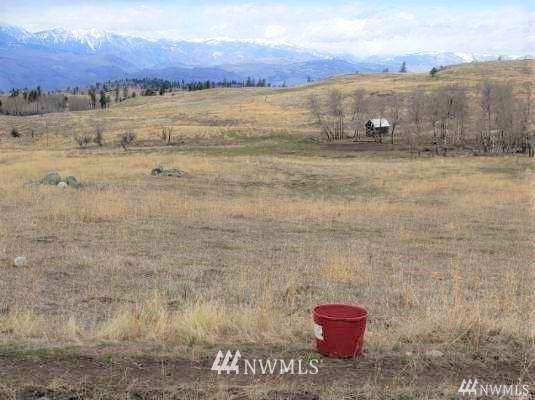 0 Tbd Rise Road Oroville, WA 98844 - Photo 15 of 29 Gallery Image 15