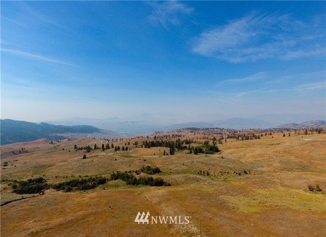 0 Tbd Rise Road Oroville, WA 98844 - Photo 17 of 29 Gallery Image 17