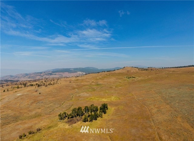0 Tbd Rise Road Oroville, WA 98844 - Photo 19 of 29 Gallery Image 19