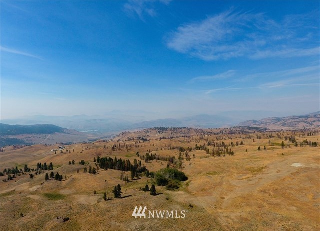 0 Tbd Rise Road Oroville, WA 98844 - Photo 21 of 29 Gallery Image 21