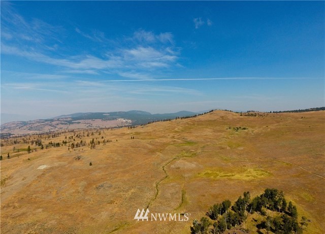 0 Tbd Rise Road Oroville, WA 98844 - Photo 22 of 29 Gallery Image 22