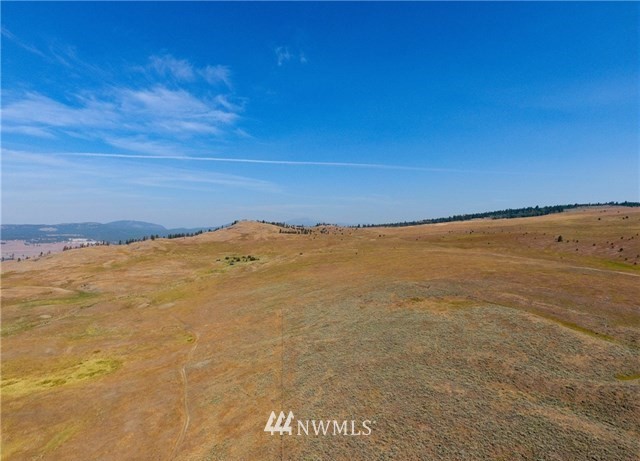 0 Tbd Rise Road Oroville, WA 98844 - Photo 23 of 29 Gallery Image 23