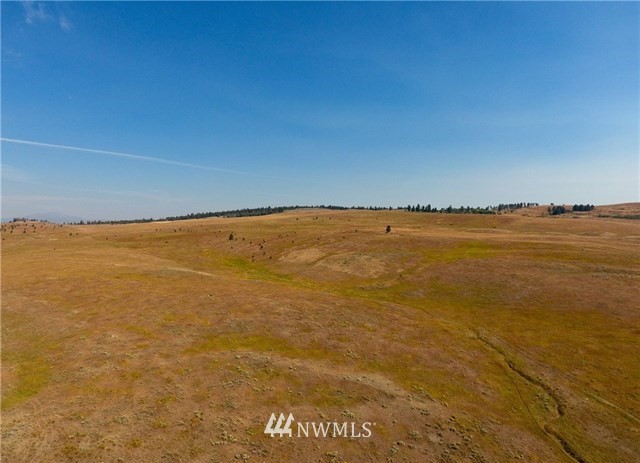 0 Tbd Rise Road Oroville, WA 98844 - Photo 24 of 29 Gallery Image 24