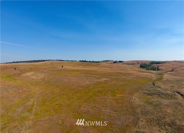 0 Tbd Rise Road Oroville, WA 98844 - Photo 25 of 29 Gallery Image 25